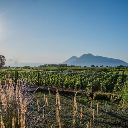 Tenuta Di Castellaro Winery & Resort Lipari  Exterior foto