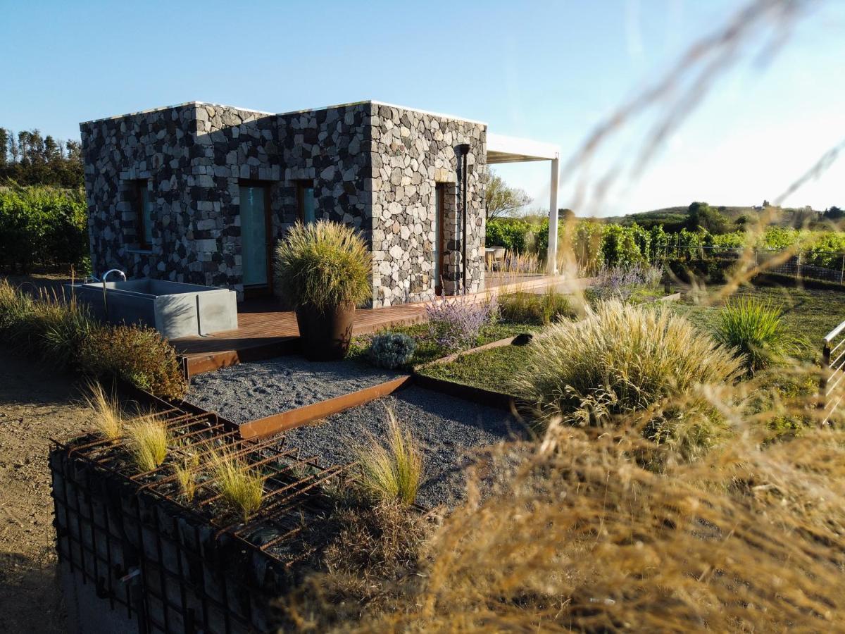 Tenuta Di Castellaro Winery & Resort Lipari  Exterior foto